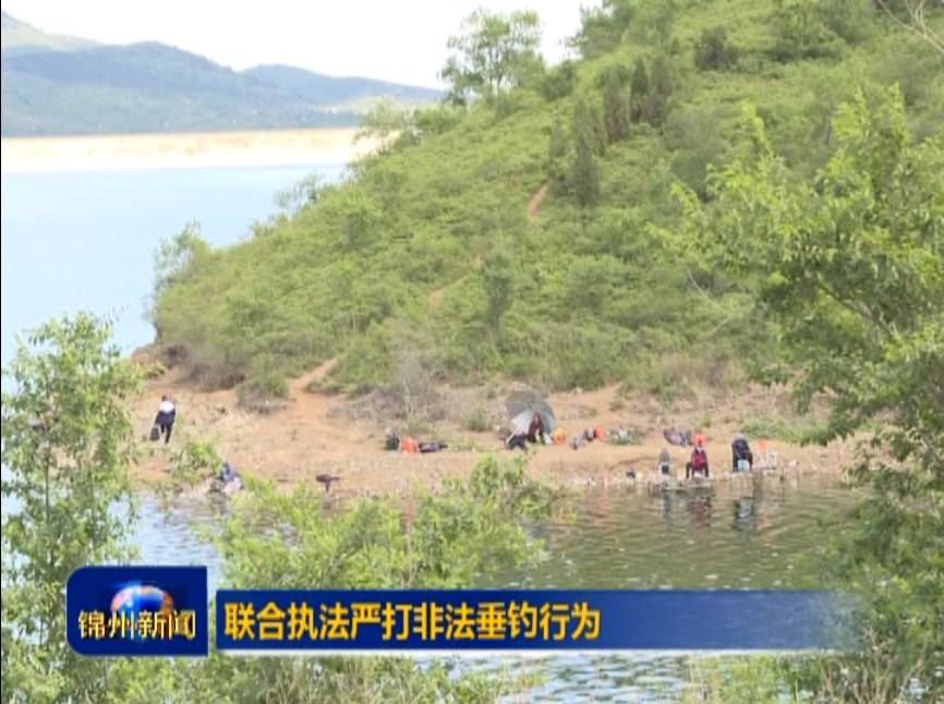 聯(lián)合執(zhí)法  嚴(yán)打非法捕釣